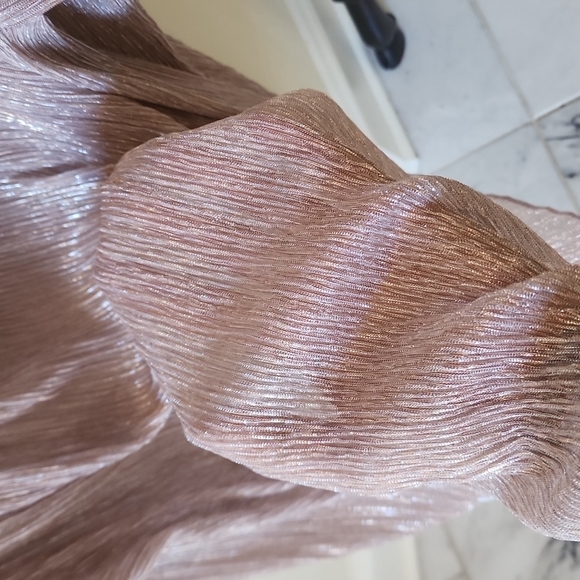 NWT Potters Pot gold shimmer off shoulder blouse SZ L - Picture 5 of 5